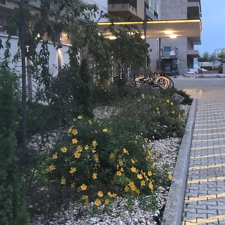 Monica Apartman